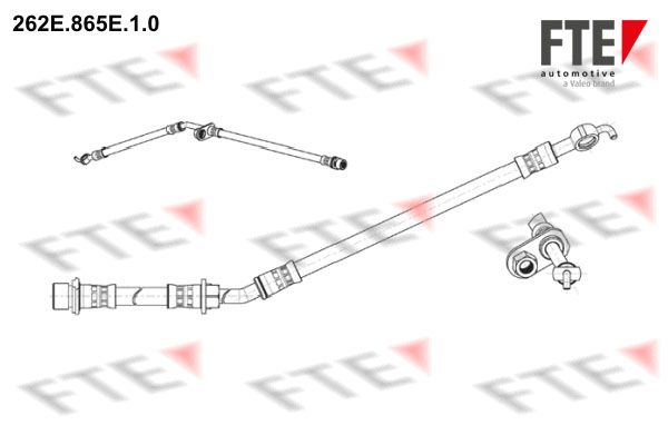 FTE Тормозной шланг 262E.865E.1.0