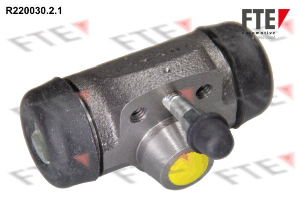 FTE Колесный тормозной цилиндр R220030.2.1