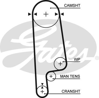 GATES Hammasrihm 5084XS