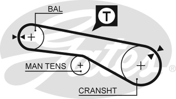 GATES Timing Belt