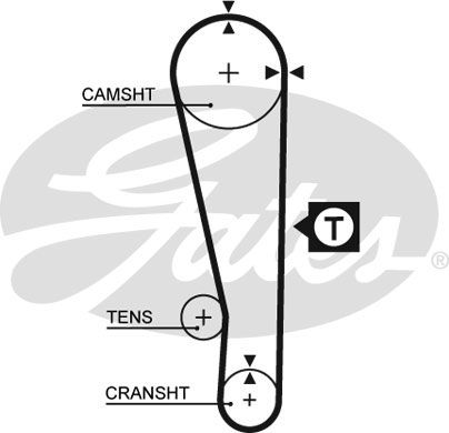 GATES Hammasrihm 5283XS