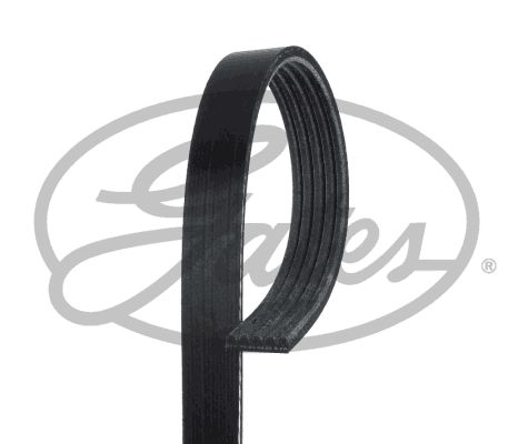 GATES V-Ribbed Belt