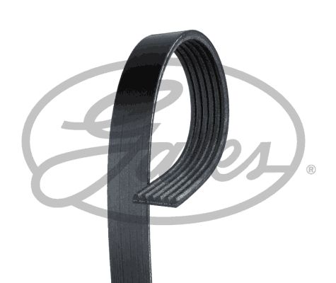 GATES V-Ribbed Belt