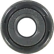 GLASER Уплотнительное кольцо, стержень клапана P76879-00