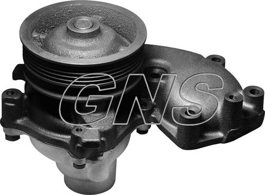 GNS Veepump YH-FI163H