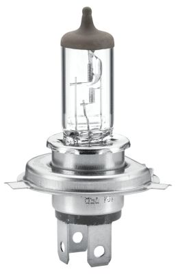 HELLA Лампа накаливания 8GJ 002 525-131