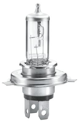 HELLA Лампа накаливания 8GJ 002 525-896