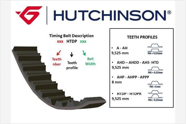 HUTCHINSON Hammasrihm 075 AH 20