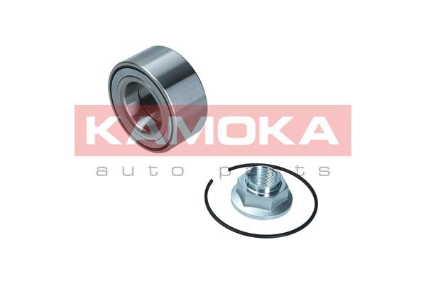 KAMOKA Комплект подшипника ступицы колеса 5600180