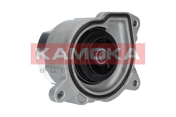 KAMOKA Veepump T0019