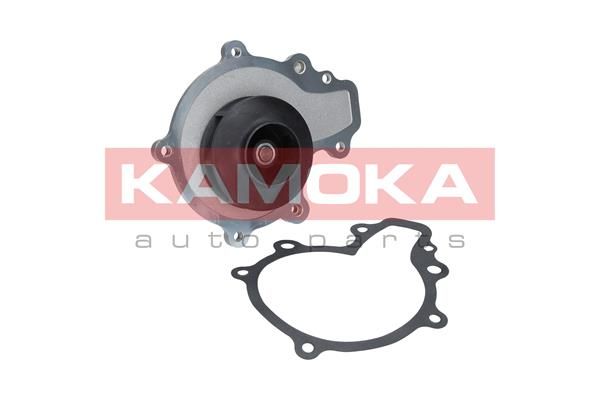 KAMOKA Veepump T0068