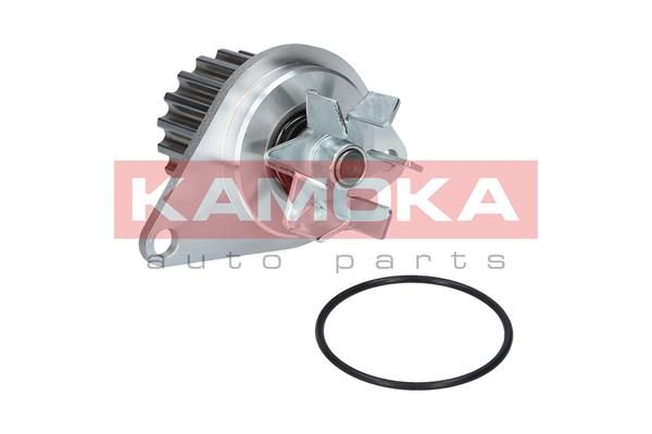 KAMOKA Veepump T0089