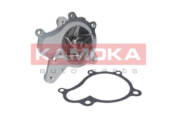 KAMOKA Veepump T0153