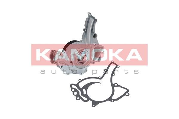 KAMOKA Veepump T0192