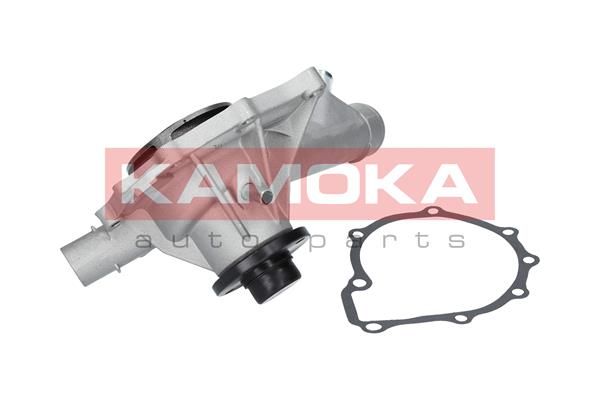 KAMOKA Veepump T0201