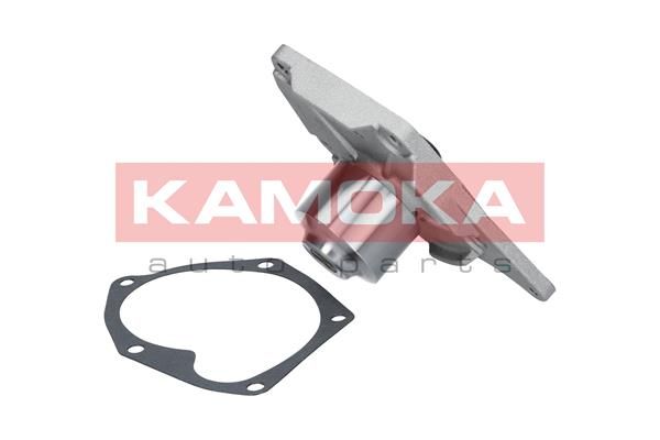 KAMOKA Veepump T0214