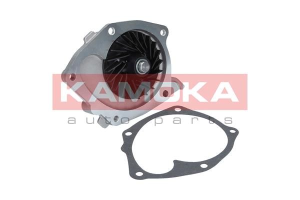 KAMOKA Veepump T0245