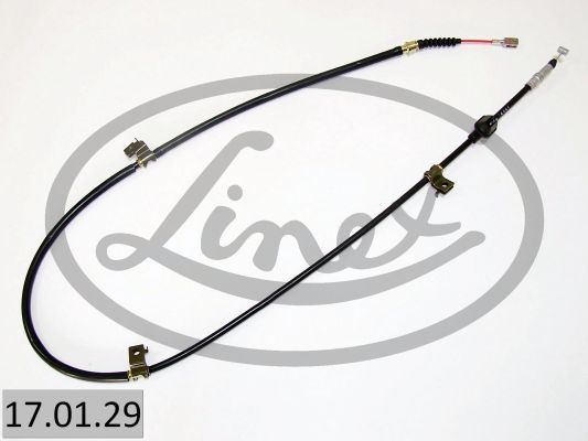 LINEX Tross,seisupidur 17.01.29