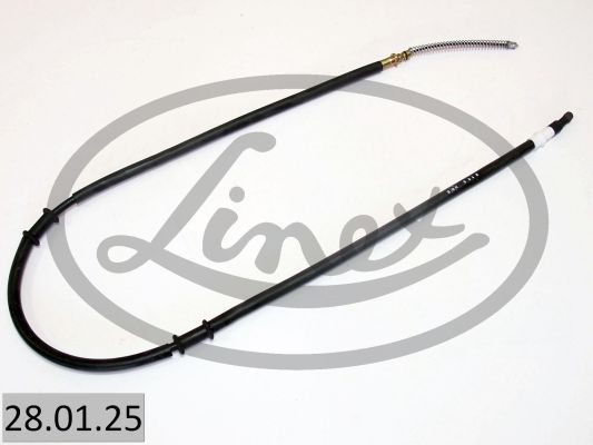 LINEX Tross,seisupidur 28.01.25