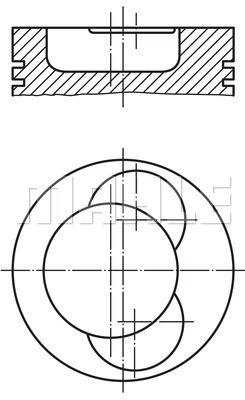 MAHLE Поршень 004 50 02