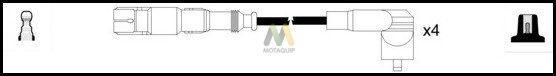 MOTAQUIP Süütesüsteemikomplekt LDRL1288