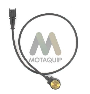 MOTAQUIP Detonatsiooniandur LVKN166