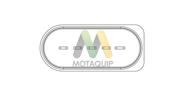 MOTAQUIP Расходомер воздуха LVMA202