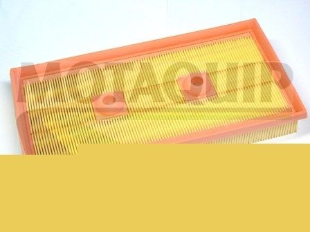 MOTAQUIP Воздушный фильтр VFA1170