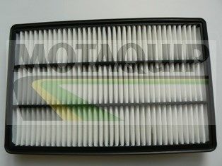 MOTAQUIP Воздушный фильтр VFA1215