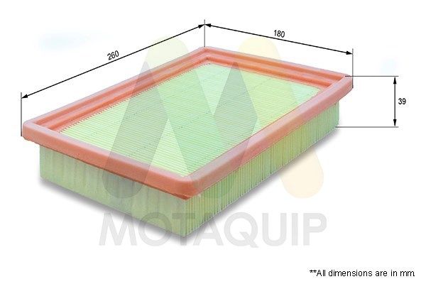 MOTAQUIP Воздушный фильтр VFA921