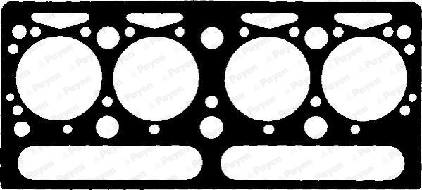PAYEN Прокладка, головка цилиндра AE810