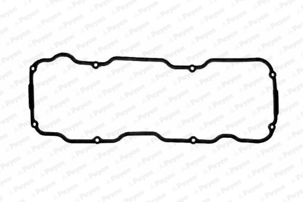 PAYEN Прокладка, крышка головки цилиндра JM086