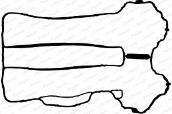 PAYEN Прокладка, крышка головки цилиндра JM5121