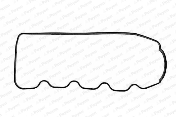 PAYEN Прокладка, крышка головки цилиндра JN365