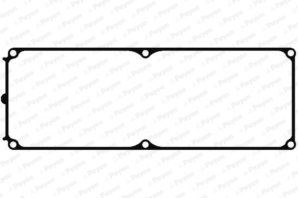 PAYEN Прокладка, крышка головки цилиндра JN853