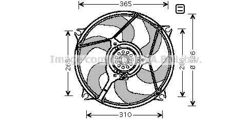 PRASCO Вентилятор, охлаждение двигателя CN7531