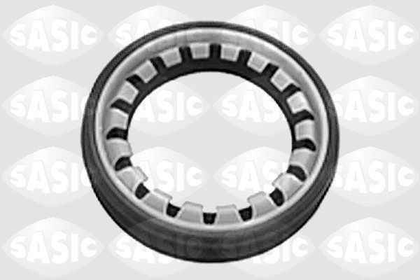 SASIC Уплотняющее кольцо, дифференциал 1950001