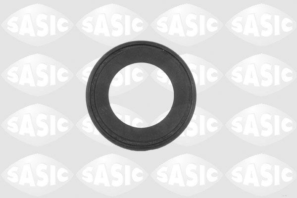 SASIC Уплотняющее кольцо, дифференциал 1950002