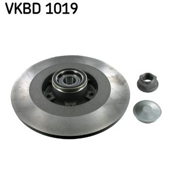 SKF Тормозной диск VKBD 1019