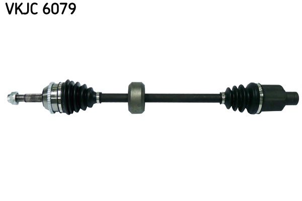 SKF Veovõll VKJC 6079