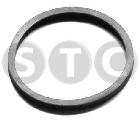 STC Прокладка, термостат T402404