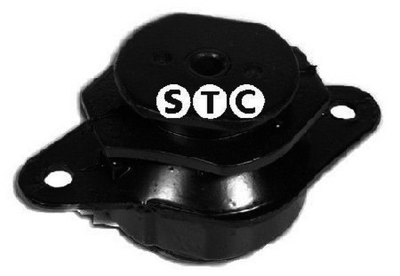 STC Paigutus,Mootor T405617