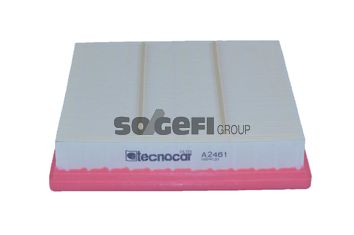 TECNOCAR Воздушный фильтр A2461
