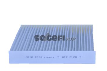 TECNOCAR Filter,salongiõhk E396
