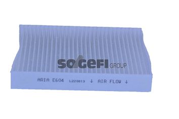 TECNOCAR Filter,salongiõhk E604