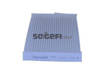 TECNOCAR Filter,salongiõhk E649