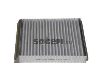 TECNOCAR Filter,salongiõhk EC365