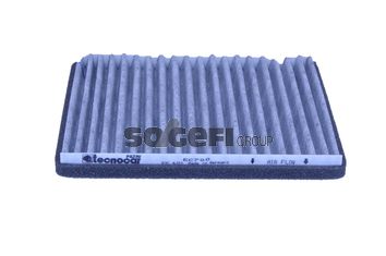 TECNOCAR Filter,salongiõhk EC700