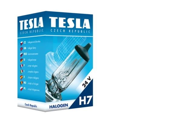 TESLA Hõõgpirn,udutuled B10702