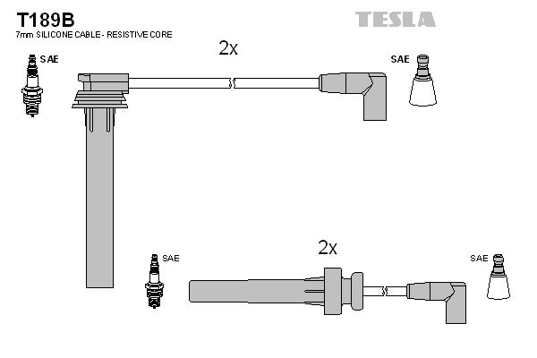 TESLA Комплект проводов зажигания T189B